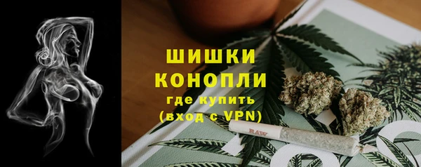 сатива Магас