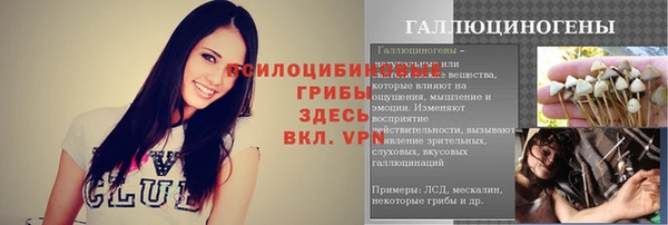 сатива Магас
