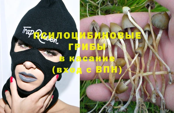 MESCALINE Майский