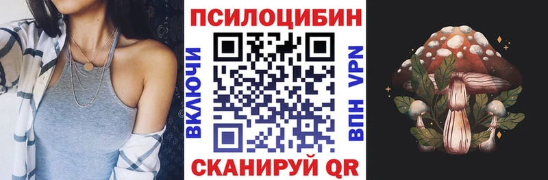 Псилоцибиновые грибы Cubensis  Скопин 