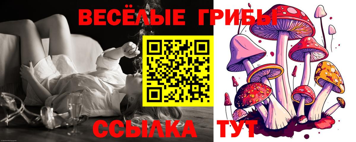 Скопин  Галлюциногенные грибы ЛСД  Вход с VPN 